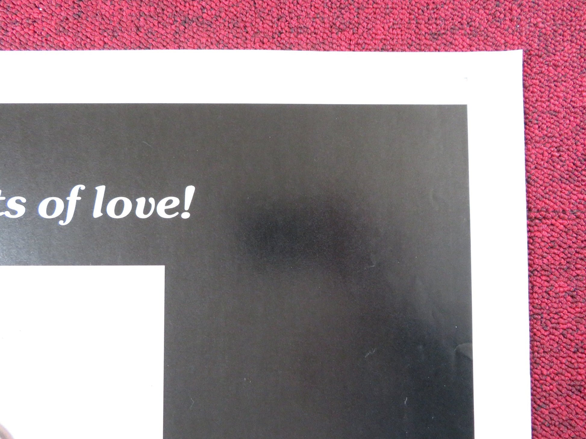 THE SINFUL BED US TRI FOLDED ONE SHEET ROLLED POSTER HEIDRUN HANNKAMMER 1973 Rendezvous Cinema Movie posters