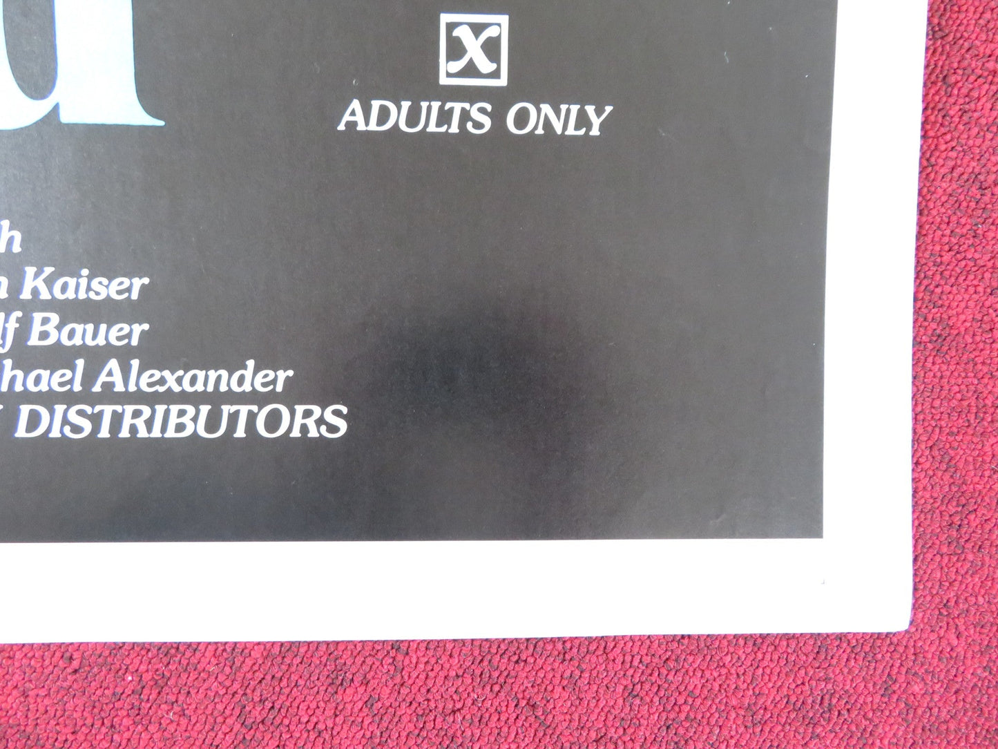 THE SINFUL BED US TRI FOLDED ONE SHEET ROLLED POSTER HEIDRUN HANNKAMMER 1973 Rendezvous Cinema Movie posters