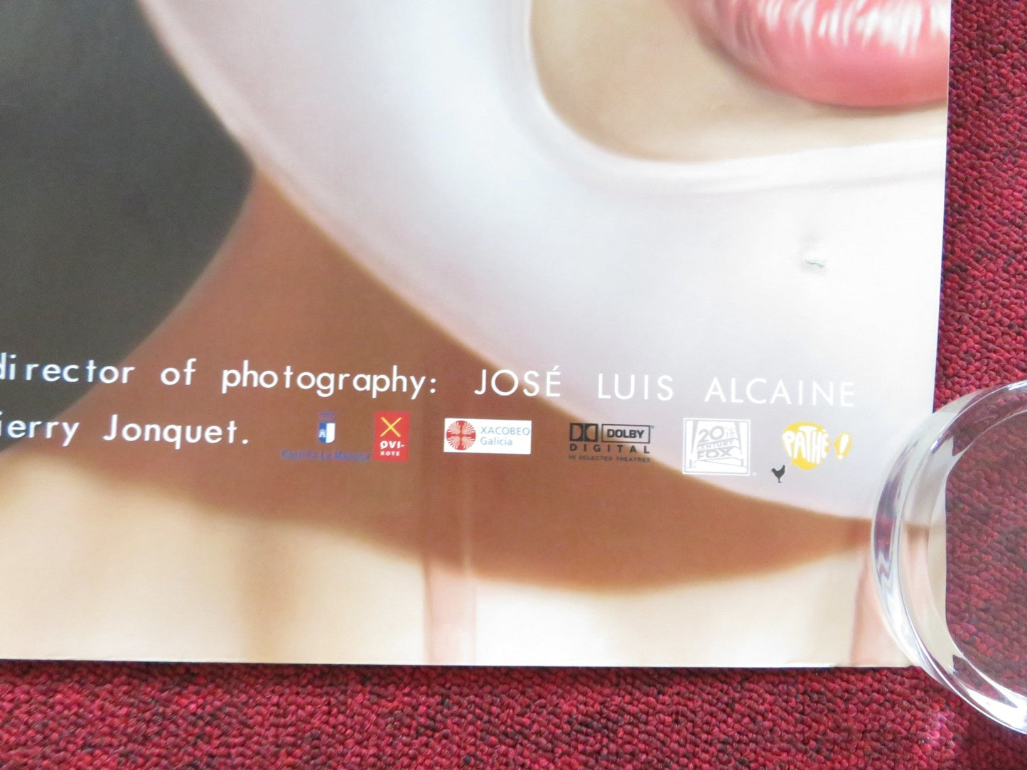 THE SKIN I LIVE IN UK QUAD (30"x 40") ROLLED POSTER ANTONIO BANDERAS 2011 Rendezvous Cinema Movie posters