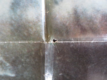 THE SLAP ITALIAN FOGLIO POSTER LINO VENTURA ANNIE GIRARDOT 1974 Rendezvous Cinema Movie posters