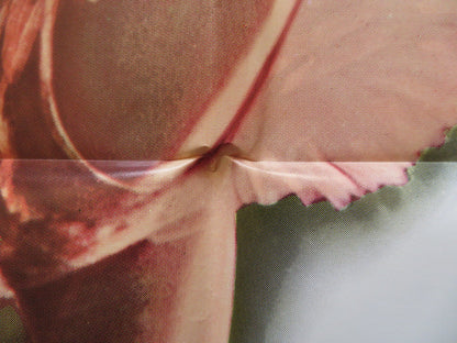 THE SLEEPING BEAUTY FOLDED US ONE SHEET POSTER LENINGRAD KIROV BALLET 1966 Rendezvous Cinema Movie posters