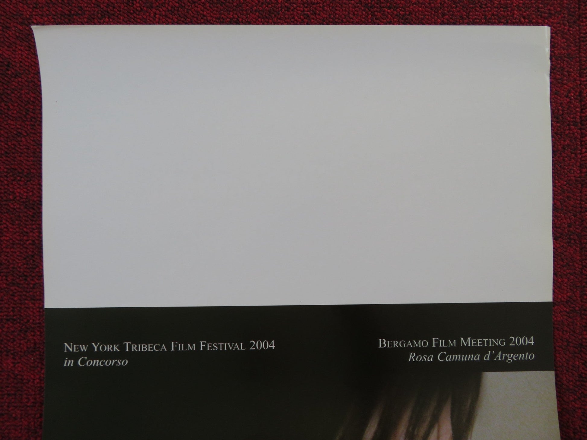 THE SPECTATOR ITALIAN LOCANDINA POSTER BARBORA BOBULOVA ANDREA RENZI 2004 Rendezvous Cinema Movie posters