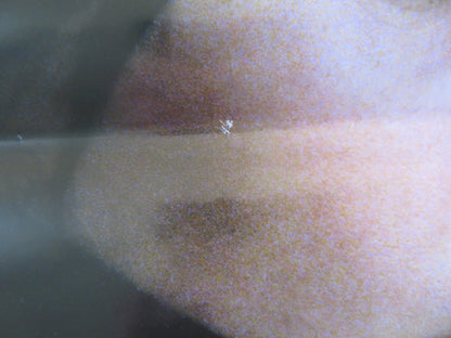 THE SPECTATOR ITALIAN LOCANDINA POSTER BARBORA BOBULOVA ANDREA RENZI 2004 Rendezvous Cinema Movie posters