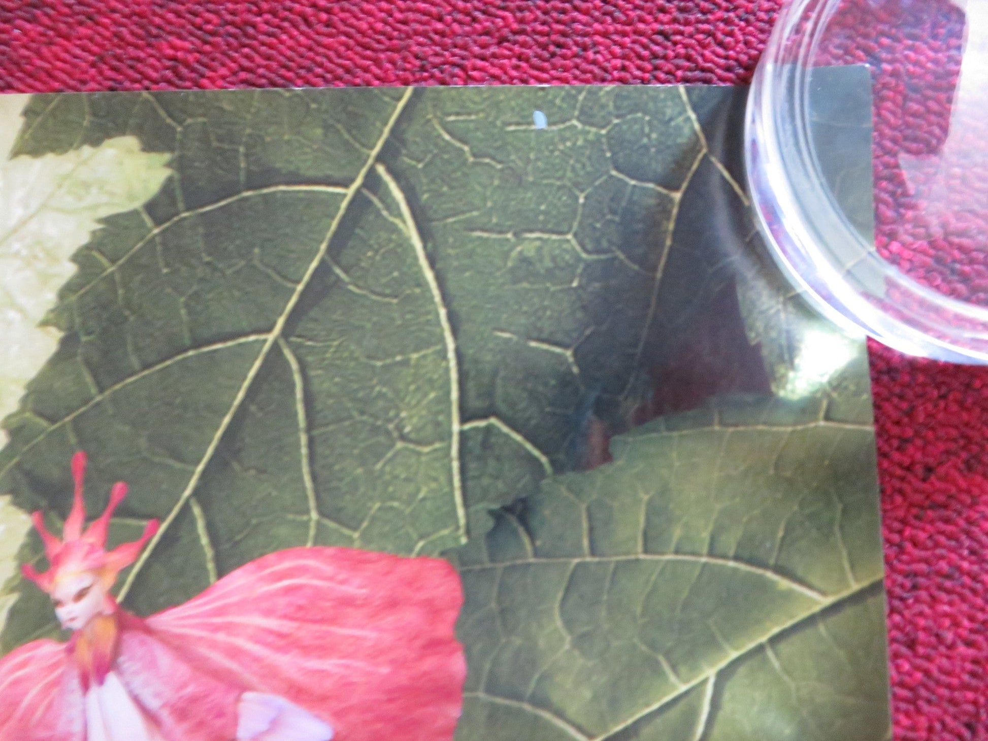 THE SPIDERWICK CHRONICLES UK QUAD (30"x 40") ROLLED POSTER FREDDIE HIGHMORE 2008 Rendezvous Cinema Movie posters