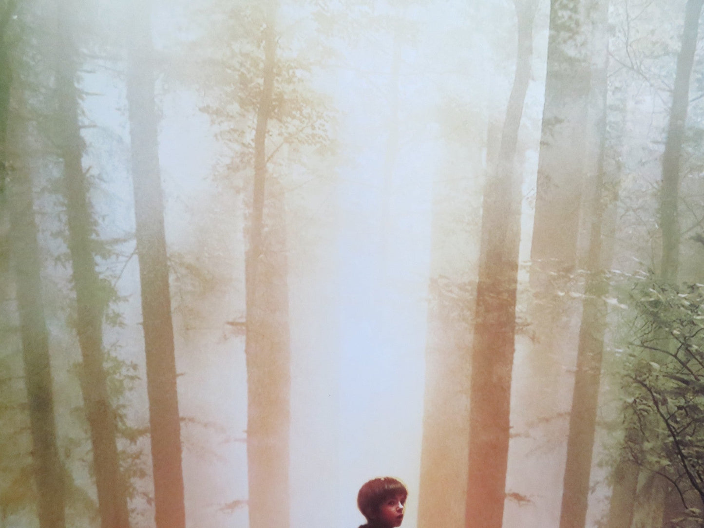 THE SPIDERWICK CHRONICLES US ONE SHEET ROLLED POSTER FREDDIE HIGHMORE 2008 Rendezvous Cinema Movie posters