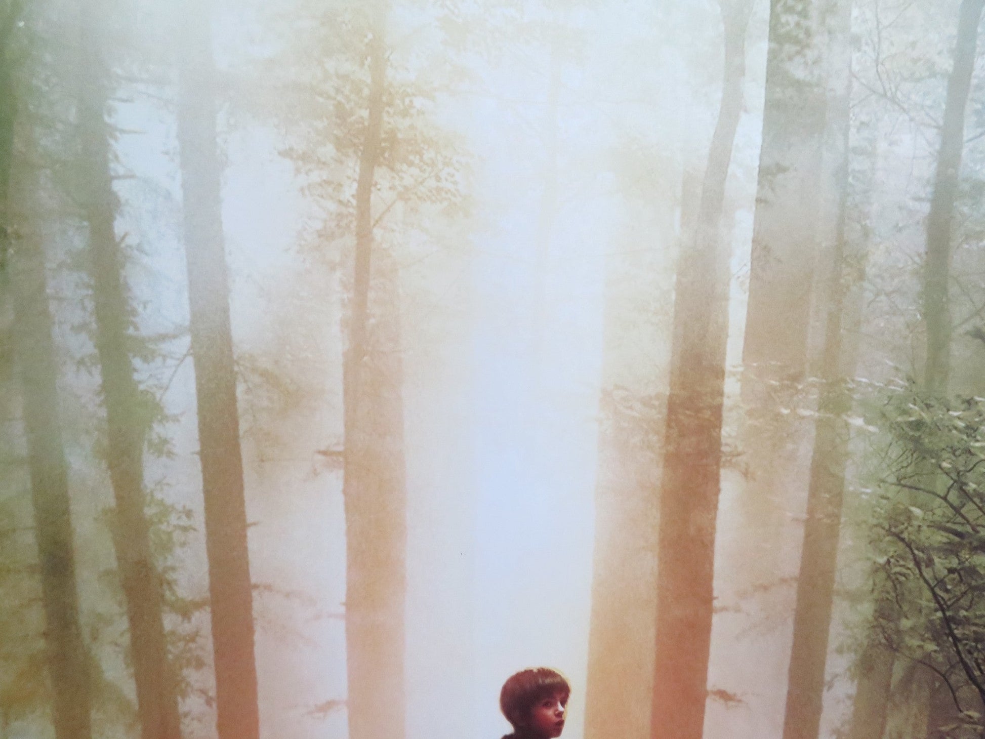 THE SPIDERWICK CHRONICLES US ONE SHEET ROLLED POSTER FREDDIE HIGHMORE 2008 Rendezvous Cinema Movie posters