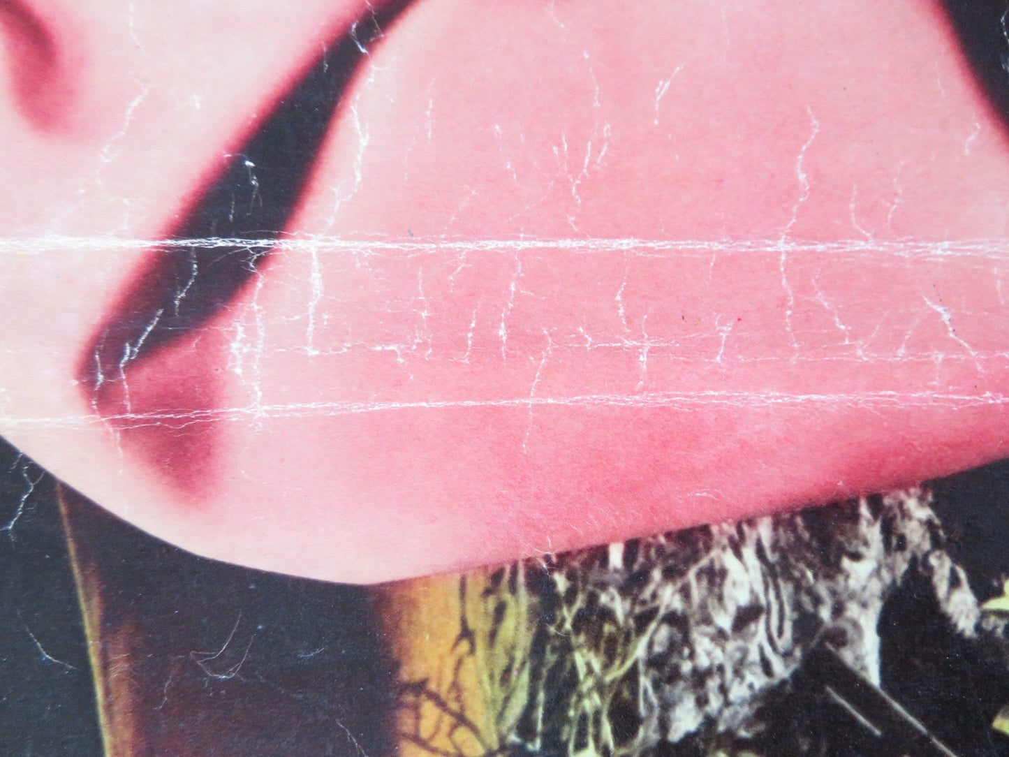 THE SPIRIT IS WILLING - H ITALIAN FOTOBUSTA POSTER SID CAESER VERA MILES 1967 Rendezvous Cinema Movie posters