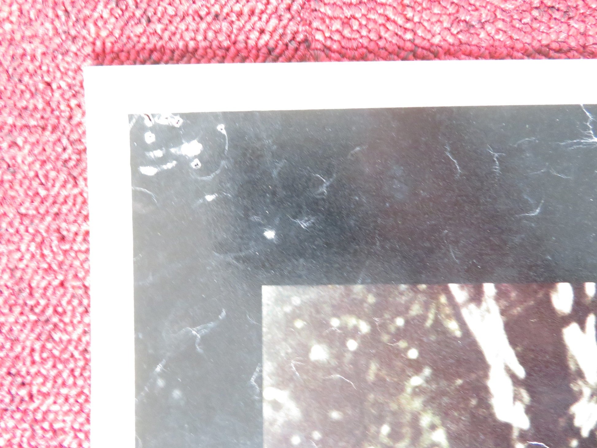 THE SPIRIT IS WILLING - H ITALIAN FOTOBUSTA POSTER SID CAESER VERA MILES 1967 Rendezvous Cinema Movie posters