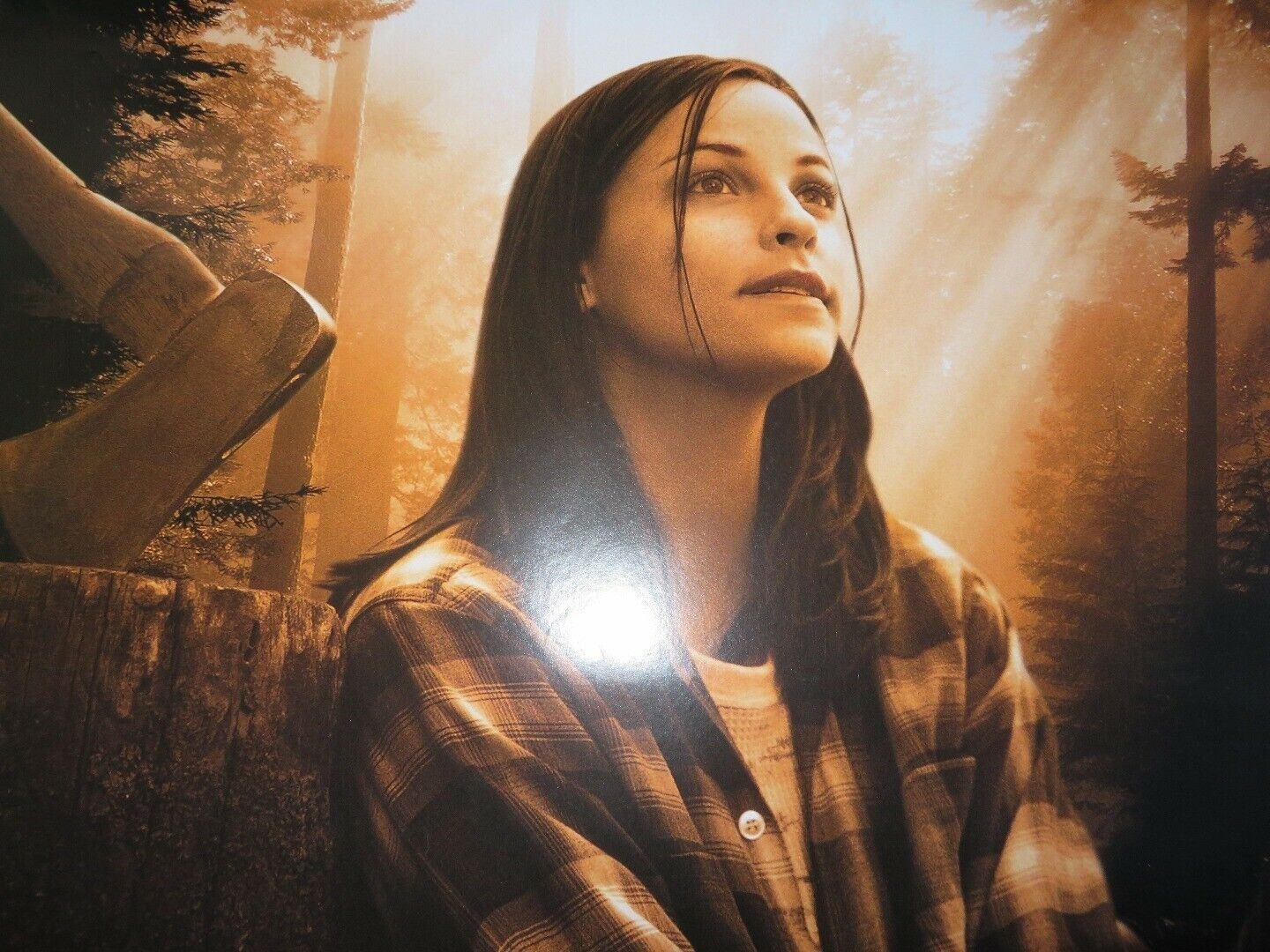 THE SPITFIRE GRILL US ONE SHEET ROLLED POSTER ELLEN BUSTYN 1996 Movie posters