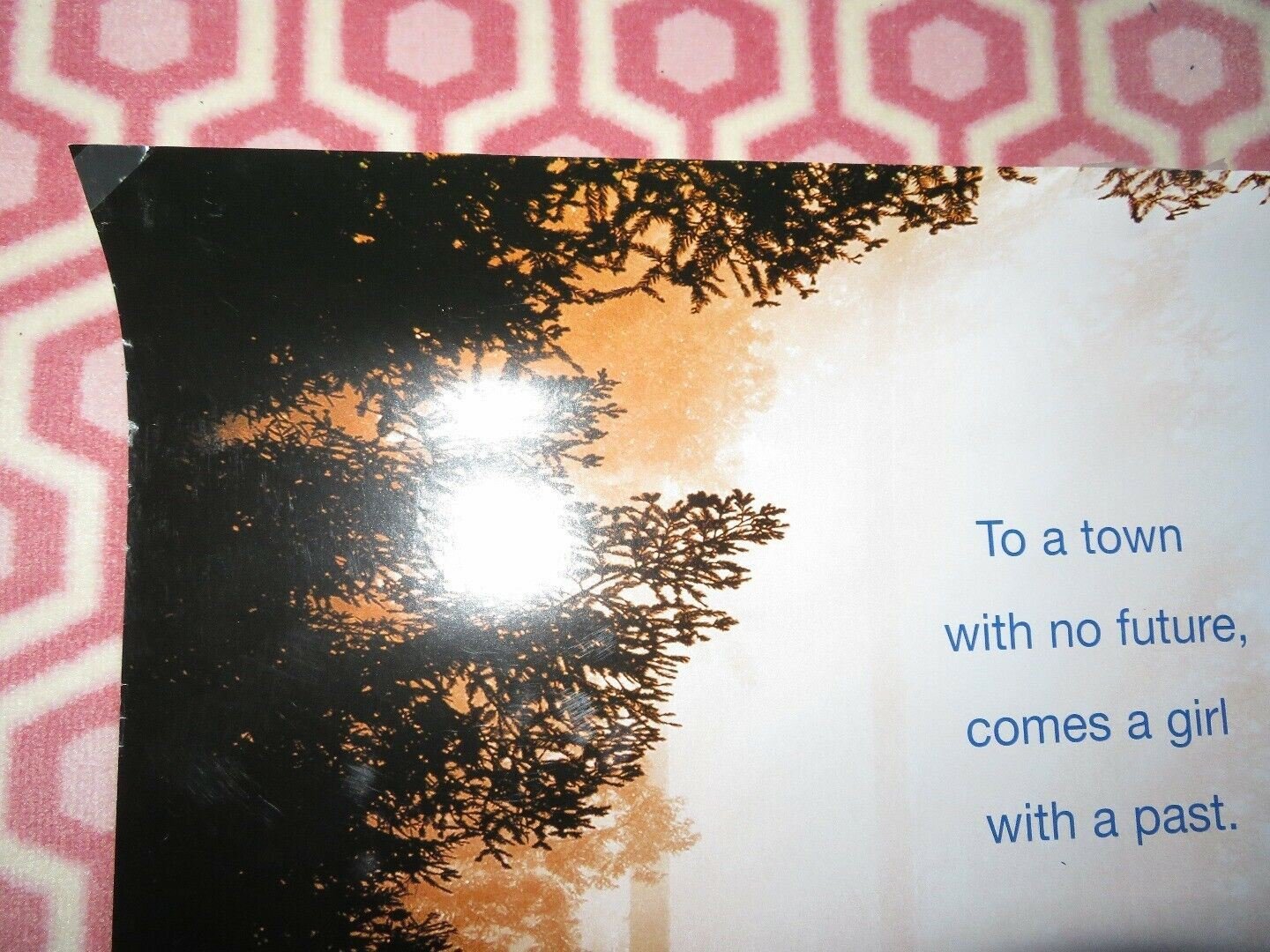 THE SPITFIRE GRILL US ONE SHEET ROLLED POSTER ELLEN BUSTYN 1996 Movie posters