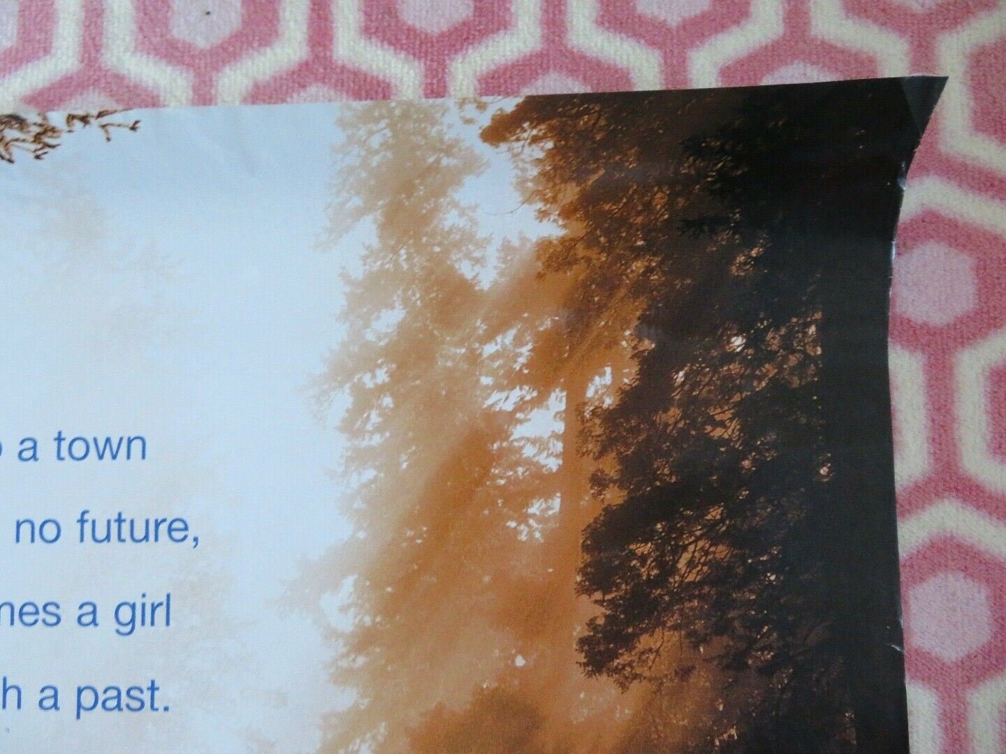 THE SPITFIRE GRILL US ONE SHEET ROLLED POSTER ELLEN BUSTYN 1996 Movie posters