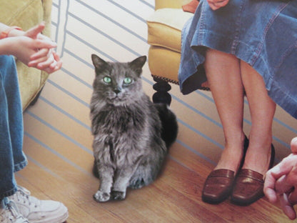 THE SQUID AND THE WHALE US ONE SHEET ROLLED POSTER JEFF DANIELS OWEN KLINE 2005 Movie posters