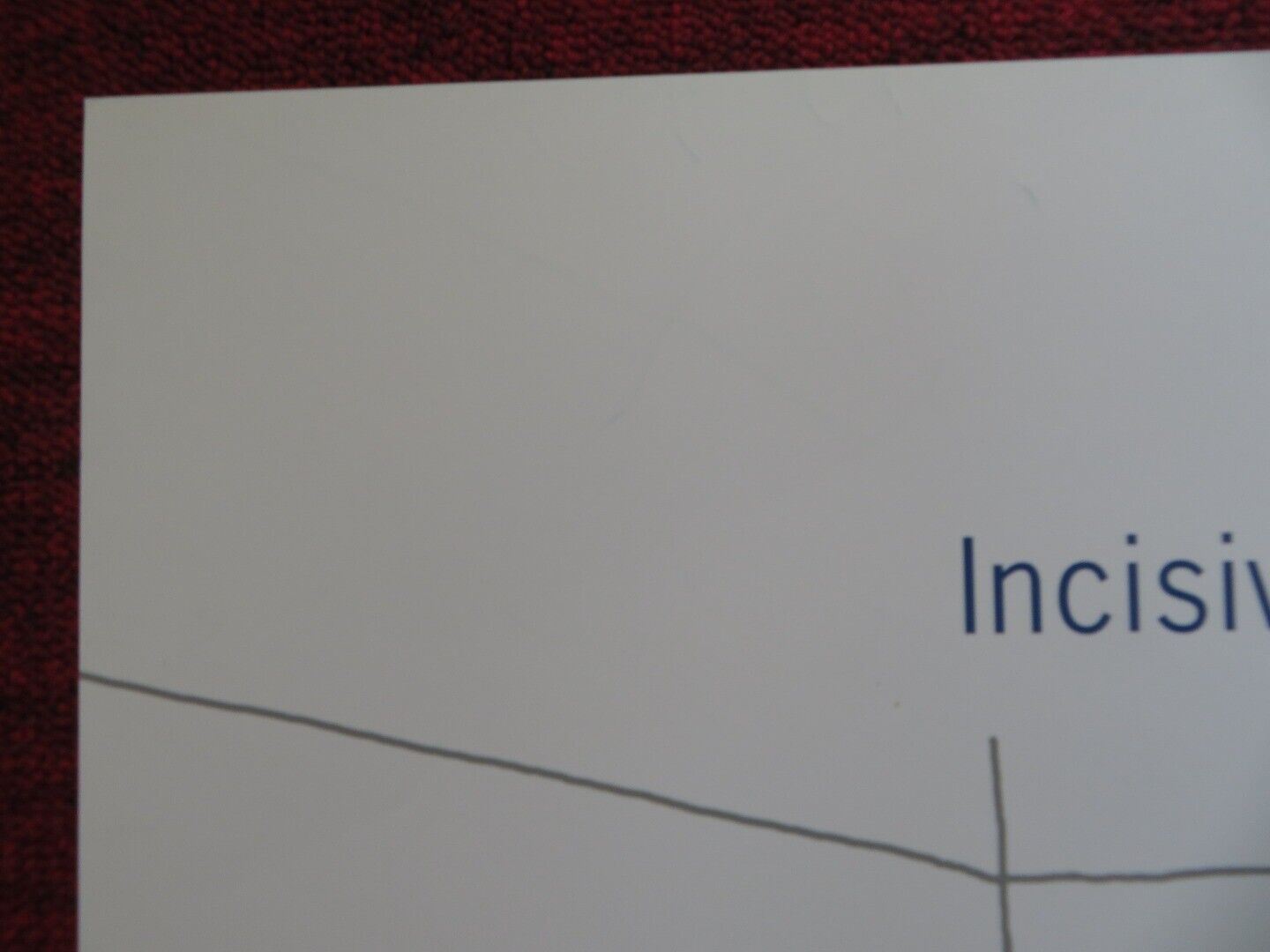 THE SQUID AND THE WHALE US ONE SHEET ROLLED POSTER JEFF DANIELS OWEN KLINE 2005 Movie posters