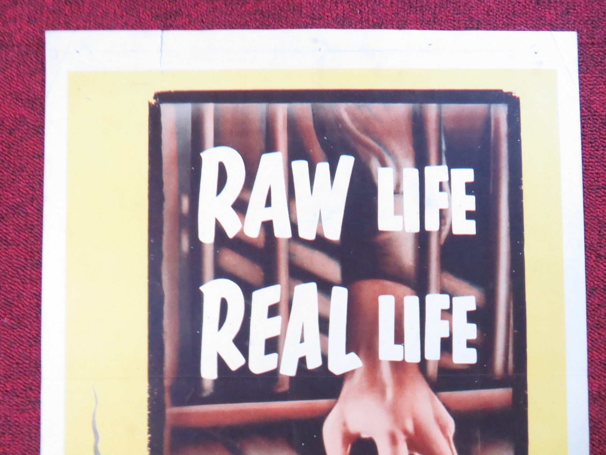 THE STEEL CAGE US INSERT (14"x 36") POSTER PAUL KELLY MAUREEN O'SULLIVAN 1954 Rendezvous Cinema Movie posters