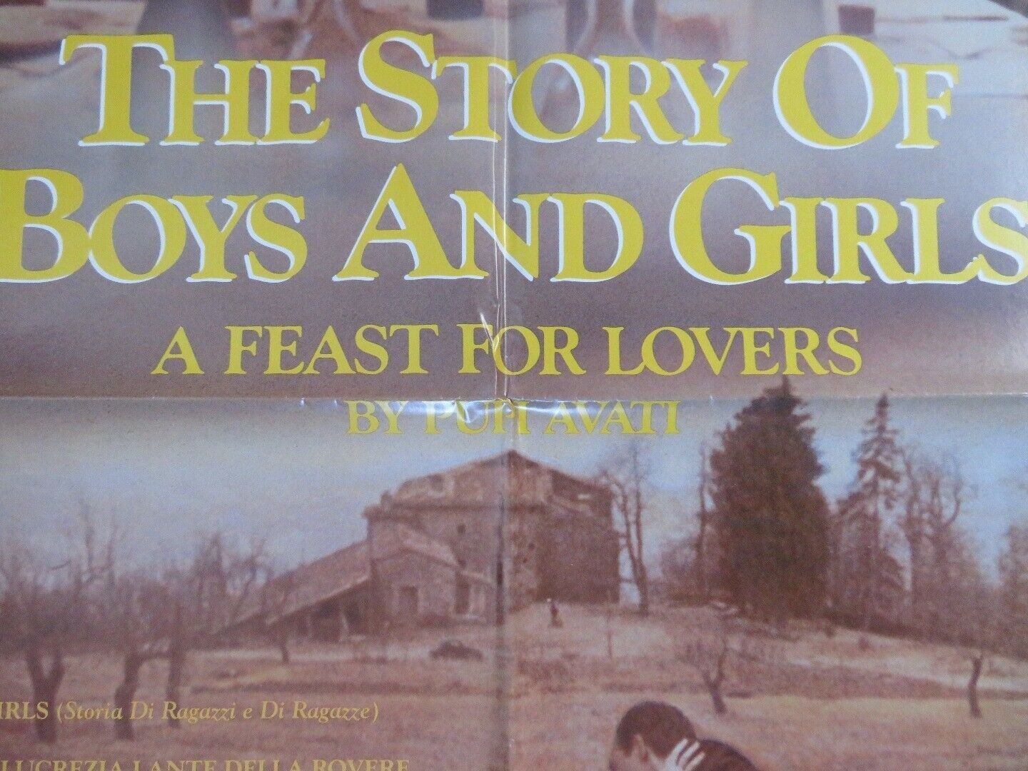 THE STORY OF BOYS & GIRLS US ONE SHEET POSTER PUPI AVATI DAVIDE BECHINI Movie posters