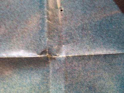 THE STRAWBERRY STATEMENT FOLDED US ONE SHEET POSTER BRUCE DAVISON 1970 Movie posters