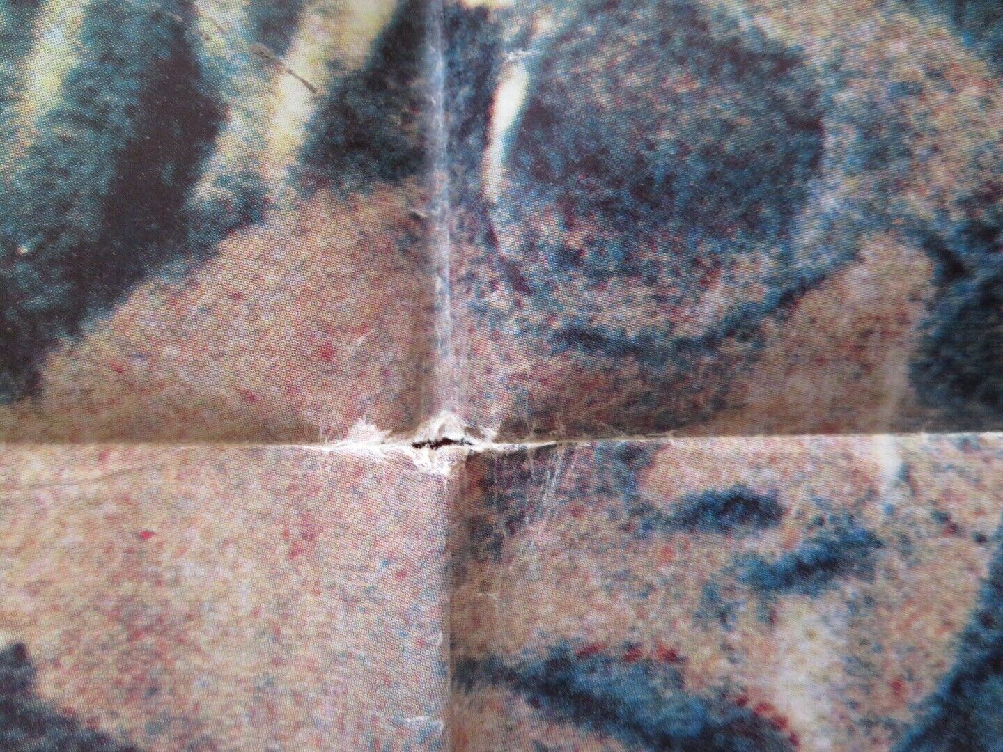 THE STRAWBERRY STATEMENT FOLDED US ONE SHEET POSTER BRUCE DAVISON 1970 Movie posters