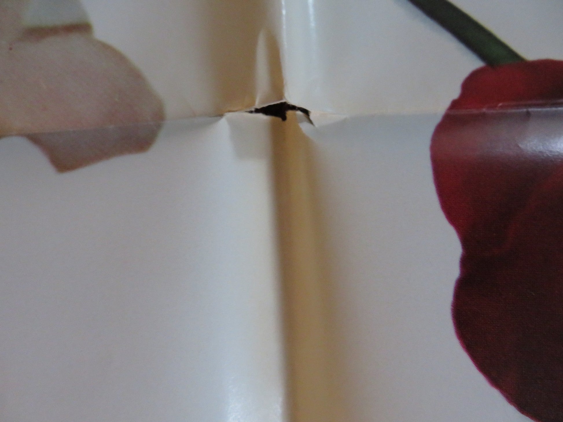 THE SUBJECT WAS ROSES FOLDED US ONE SHEET POSTER PATRICIA NEAL MARTIN SHEEN 1968 Rendezvous Cinema Movie posters