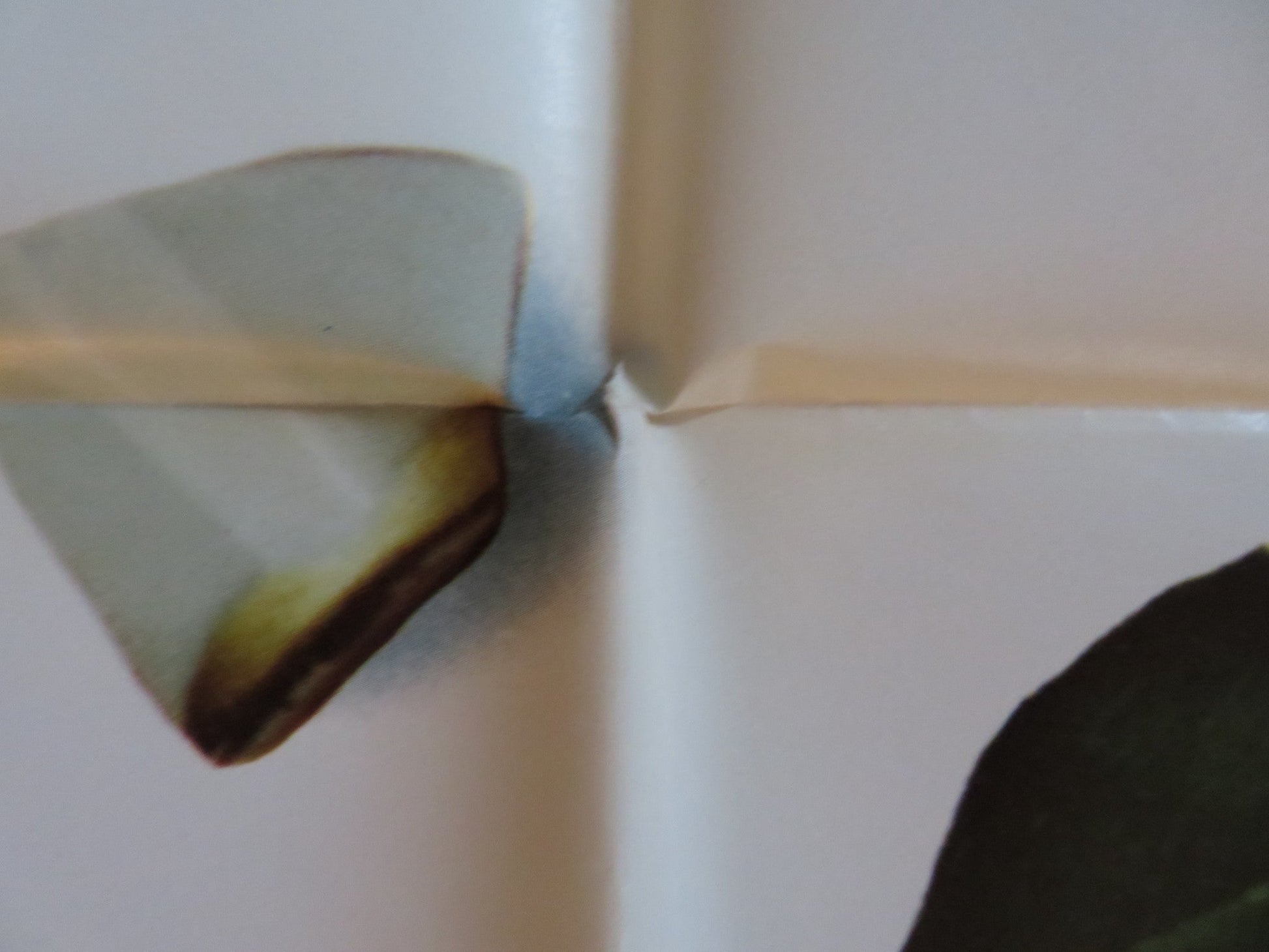 THE SUBJECT WAS ROSES FOLDED US ONE SHEET POSTER PATRICIA NEAL MARTIN SHEEN 1968 Rendezvous Cinema Movie posters