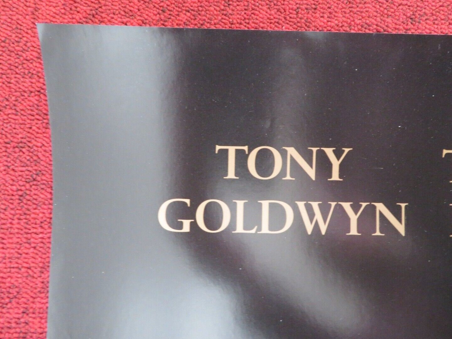 THE SUBSTANCE OF FIRE US ONE SHEET ROLLED POSTER TONY GOLDWYN BENJAMIN UNGAR '96 Rendezvous Cinema Movie posters