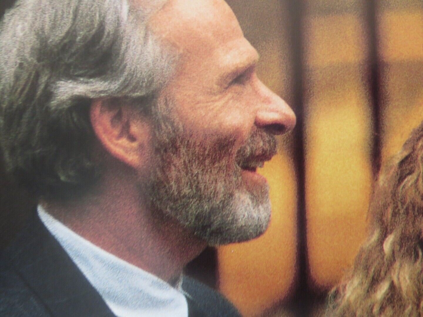 THE SUBSTANCE OF FIRE US ONE SHEET ROLLED POSTER TONY GOLDWYN BENJAMIN UNGAR '96 Rendezvous Cinema Movie posters