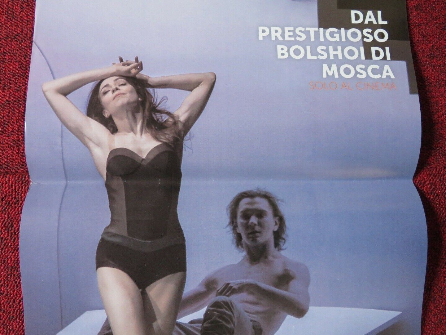 THE TAMING OF THE SHREW ITALIAN LOCANDINA (26.5"x12.5") POSTER 2017 - Rendezvous Cinema