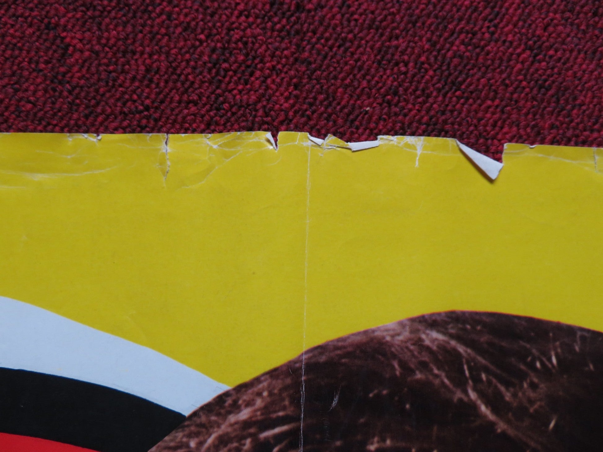 THE TERMINAL MAN ITALIAN FOGLIO POSTER GEORGE SEGAL JOAN HACKETT 1974 Rendezvous Cinema Movie posters