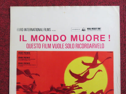 THE TERRITORY OF OTHERS ITALIAN LOCANDINA POSTER FRANCOIS BEL GERARD VIENNE 1971 Rendezvous Cinema Movie posters