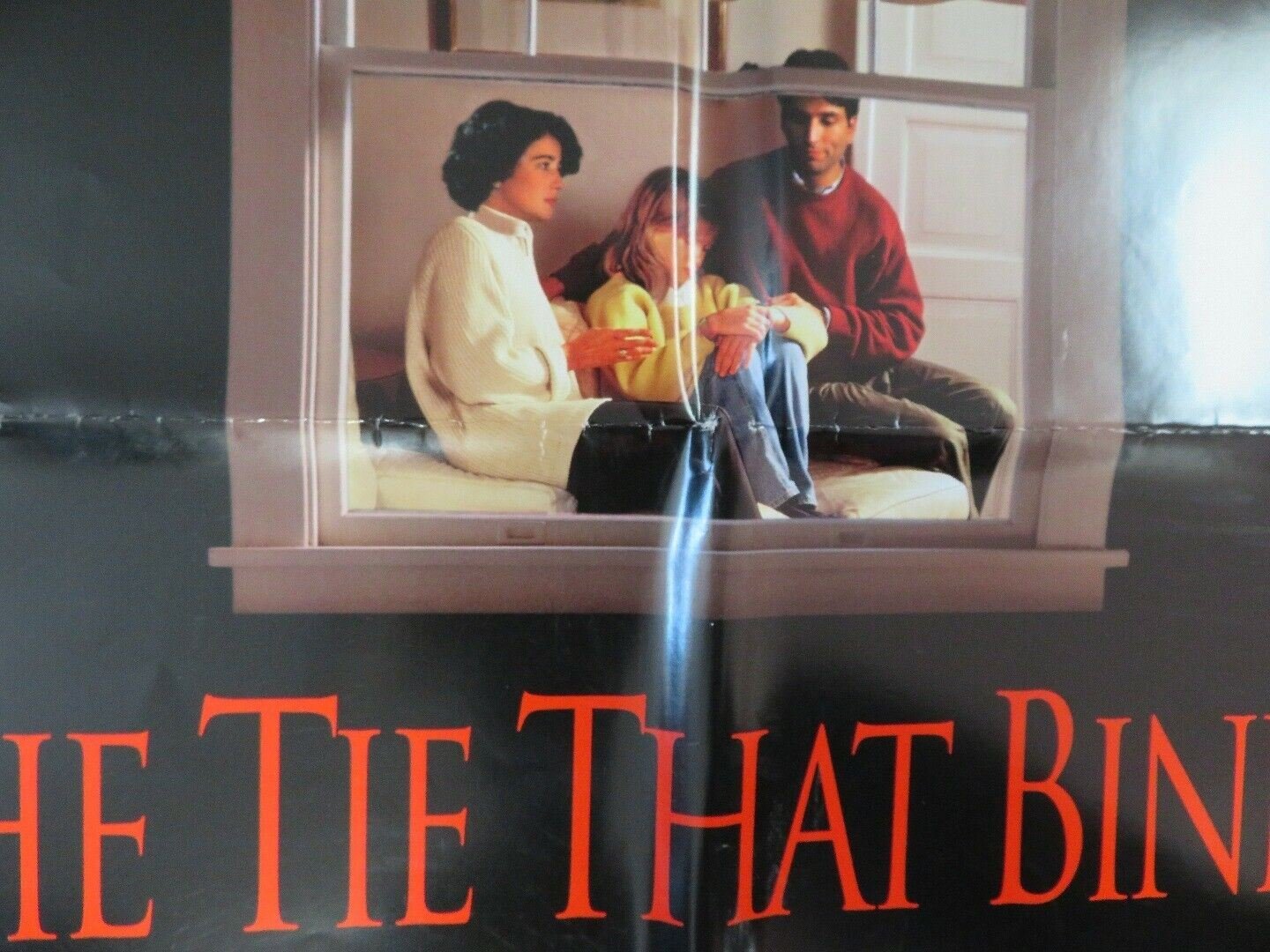 THE TIE THAT BINDS US ONE SHEET (27" x 41") POSTER DARYL HAN NAH WESLEY STRICK Rendezvous Cinema Movie posters