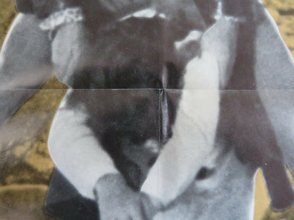 THE TODD KILLINGS US ONE SHEET POSTER FOLDED 1971 ROBERT LYONS TRUE Movie posters