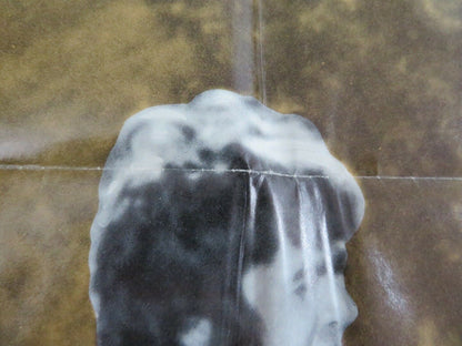 THE TODD KILLINGS US ONE SHEET POSTER FOLDED 1971 ROBERT LYONS TRUE Movie posters