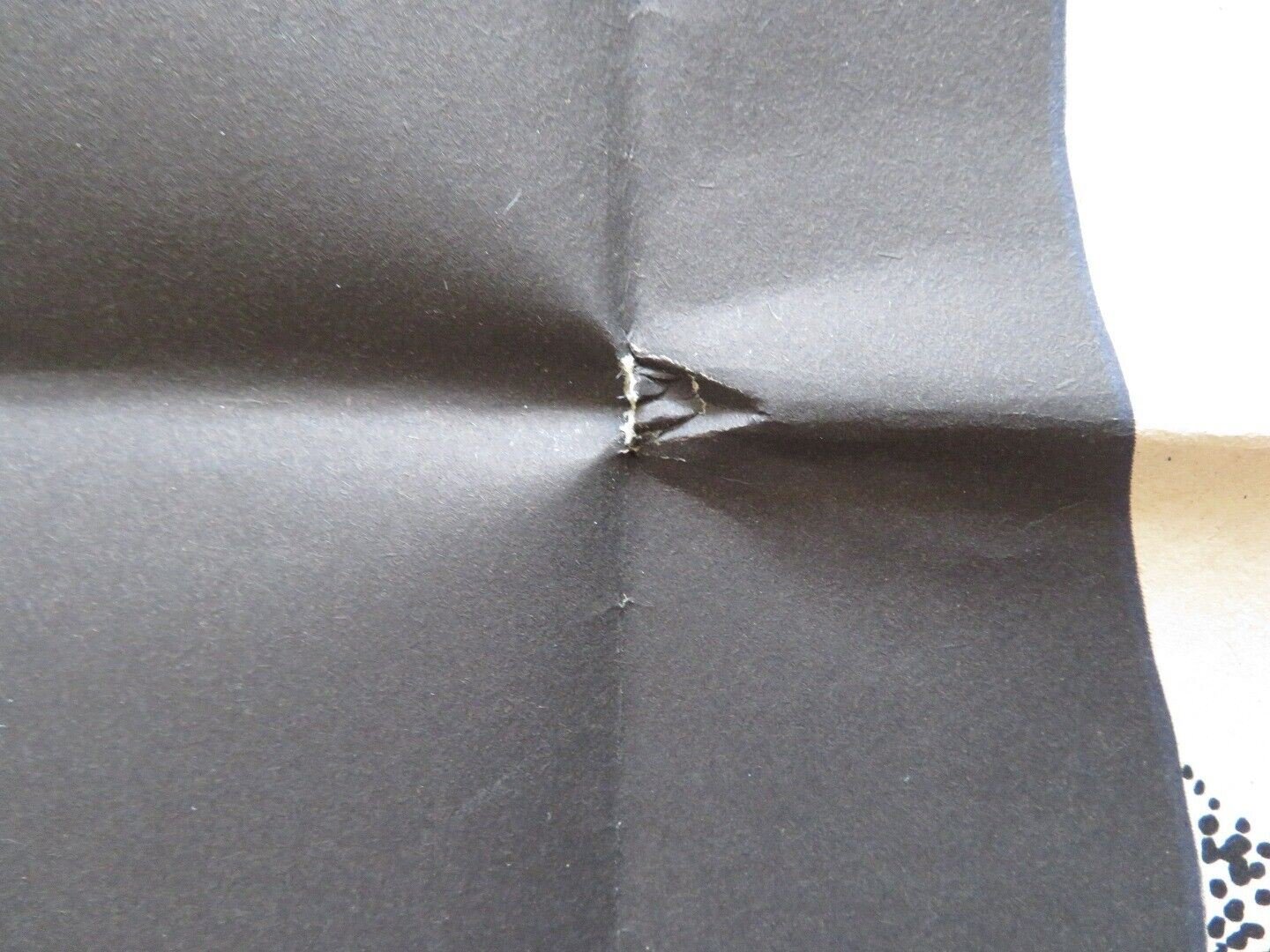 THE TOMB OF LIGEIA FOLDED POLISH ONE SHEET 23" X 33" POSTER VINCENT PRICE 1964 - Rendezvous Cinema