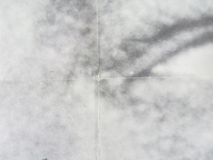 THE TRAMPLERS FOLDED US ONE SHEET POSTER GORDON SCOTT JOSEPH COTTEN 1966 Rendezvous Cinema Movie posters