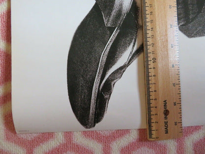 THE TRANSPORTER VERSION A US ROLLED POSTER JASON STATHAM 2002 Movie posters