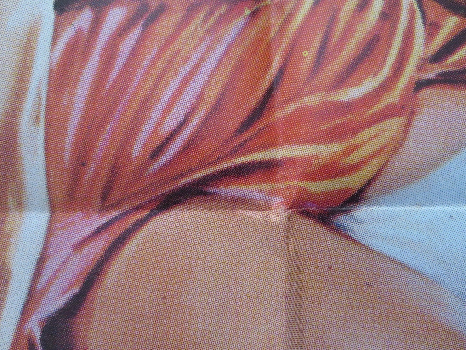 THE TRAVELING COMPANION FOLDED SPANISH POSTER ANNA MARIA RIZZOLI 1980 Rendezvous Cinema Movie posters