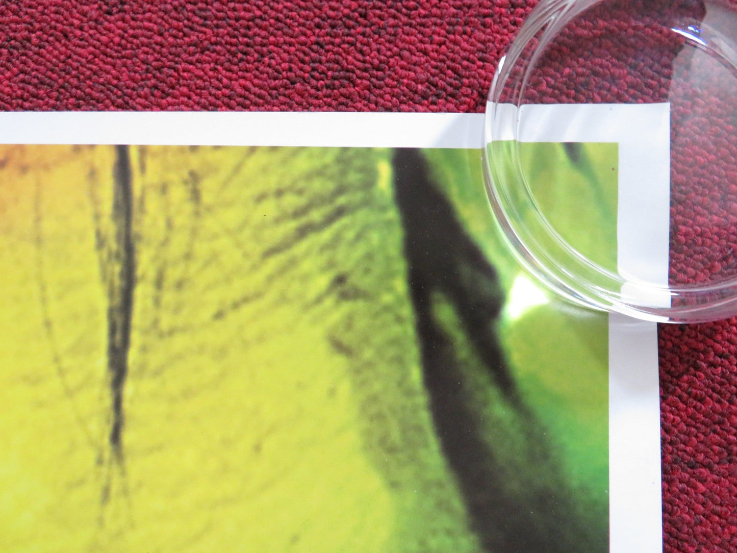 THE TRESPASSER UK QUAD (30"x 40") ROLLED POSTER MARCO RICCA BORGES 2001 Rendezvous Cinema Movie posters