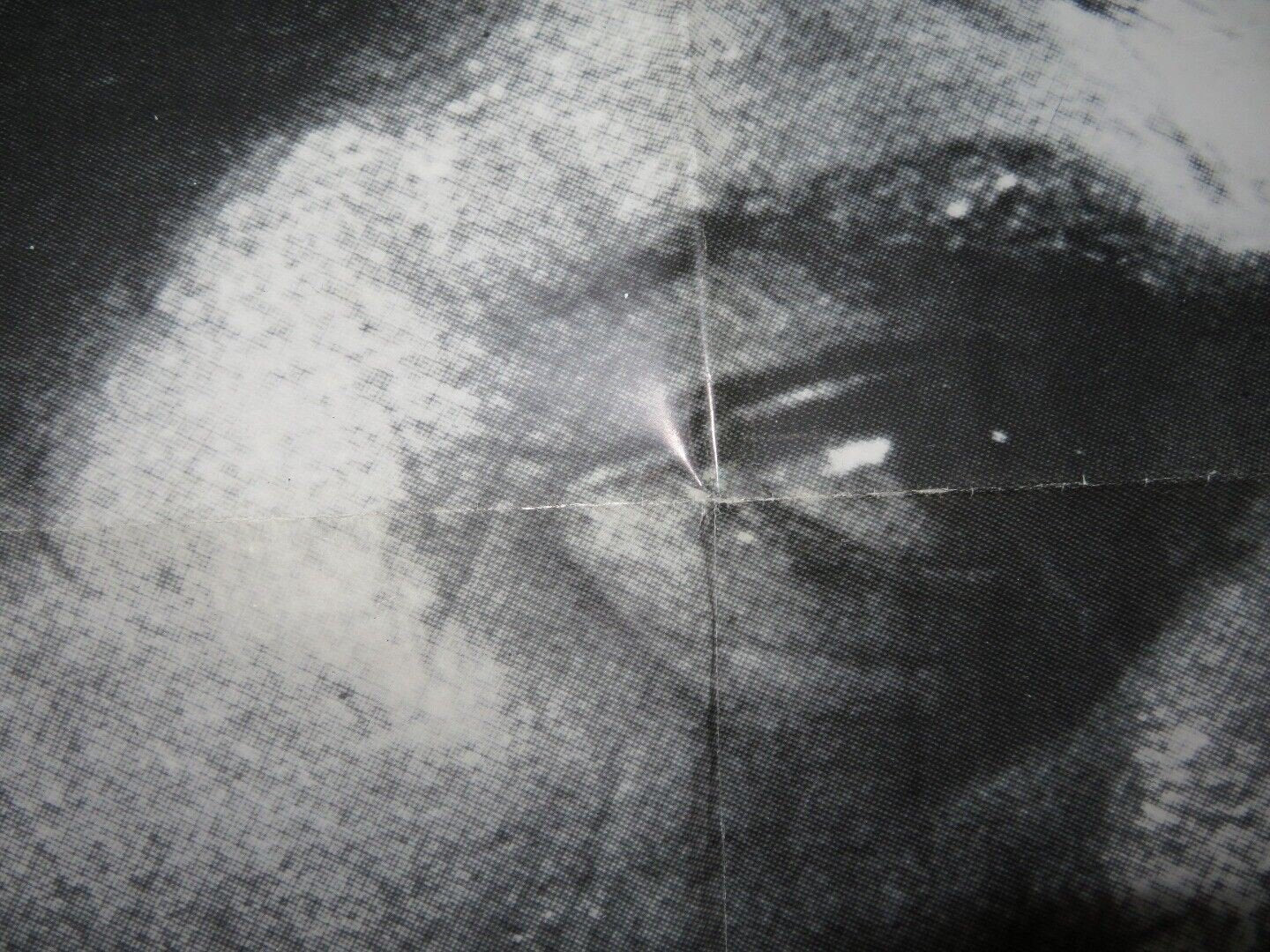 THE TRIALS OF OSCAR WILDE FOLDED US ONE SHEET POSTER PETER FINCH 1981 Movie posters