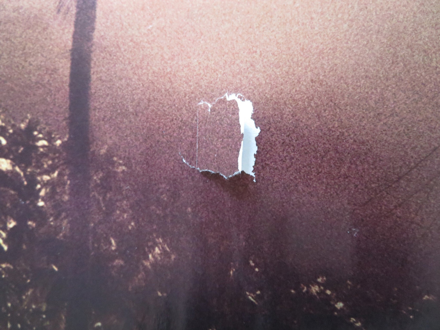 THE TWILIGHT SAGA: BREAKING DAWN PART 1 - B UK QUAD (30"x 40") ROLLED POSTER 2011 Rendezvous Cinema Movie posters