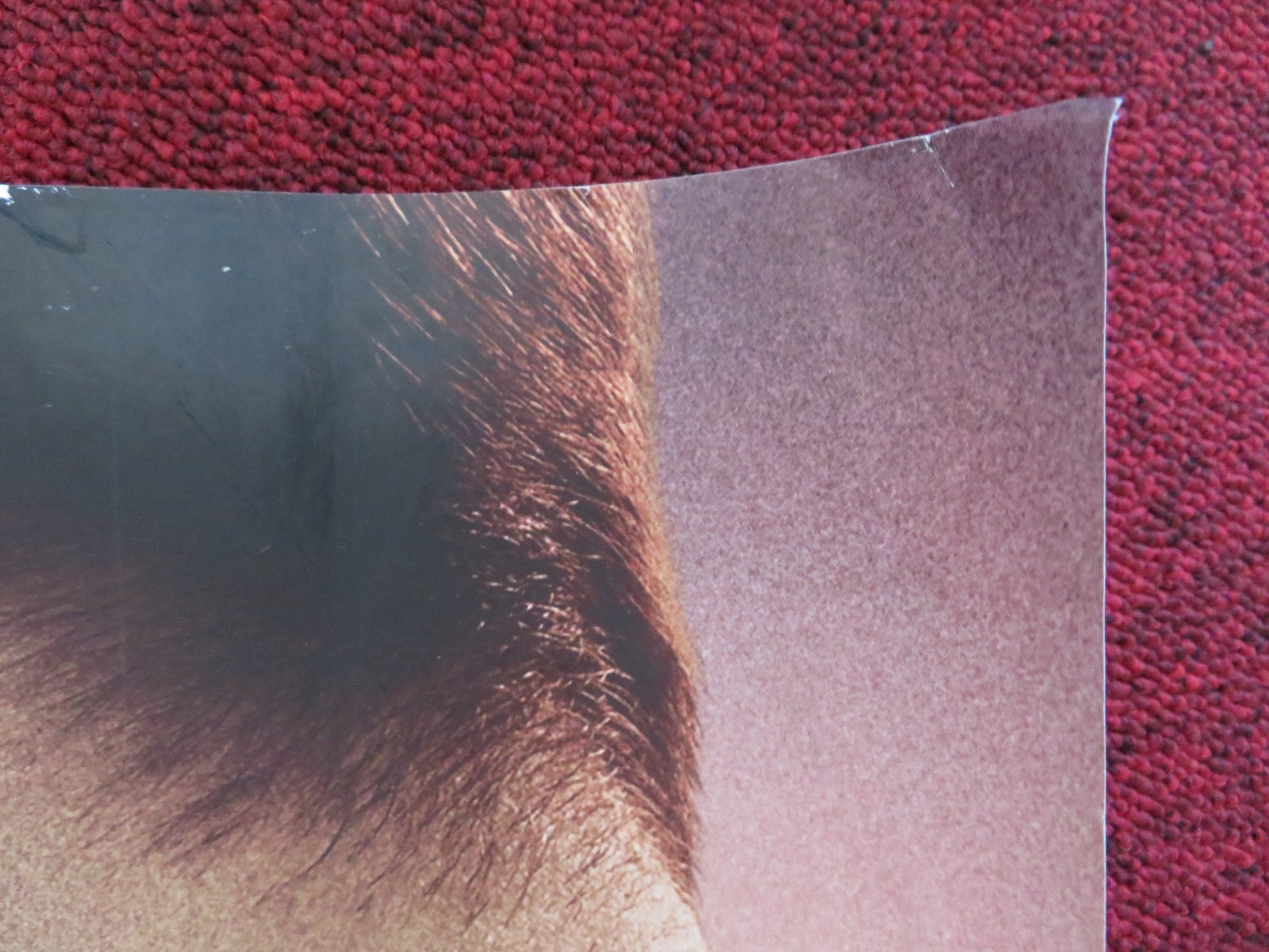 THE TWILIGHT SAGA: BREAKING DAWN PART 1 - B UK QUAD (30"x 40") ROLLED POSTER 2011 Rendezvous Cinema Movie posters