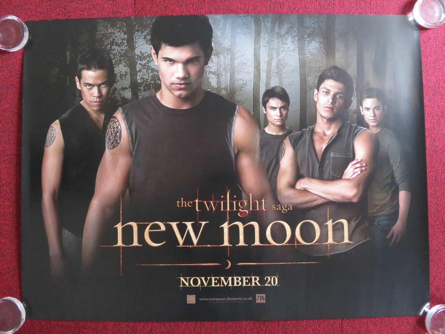 THE TWILIGHT SAGA: NEW MOON - A UK QUAD (30"x 40") ROLLED POSTER 2009 Rendezvous Cinema Movie posters
