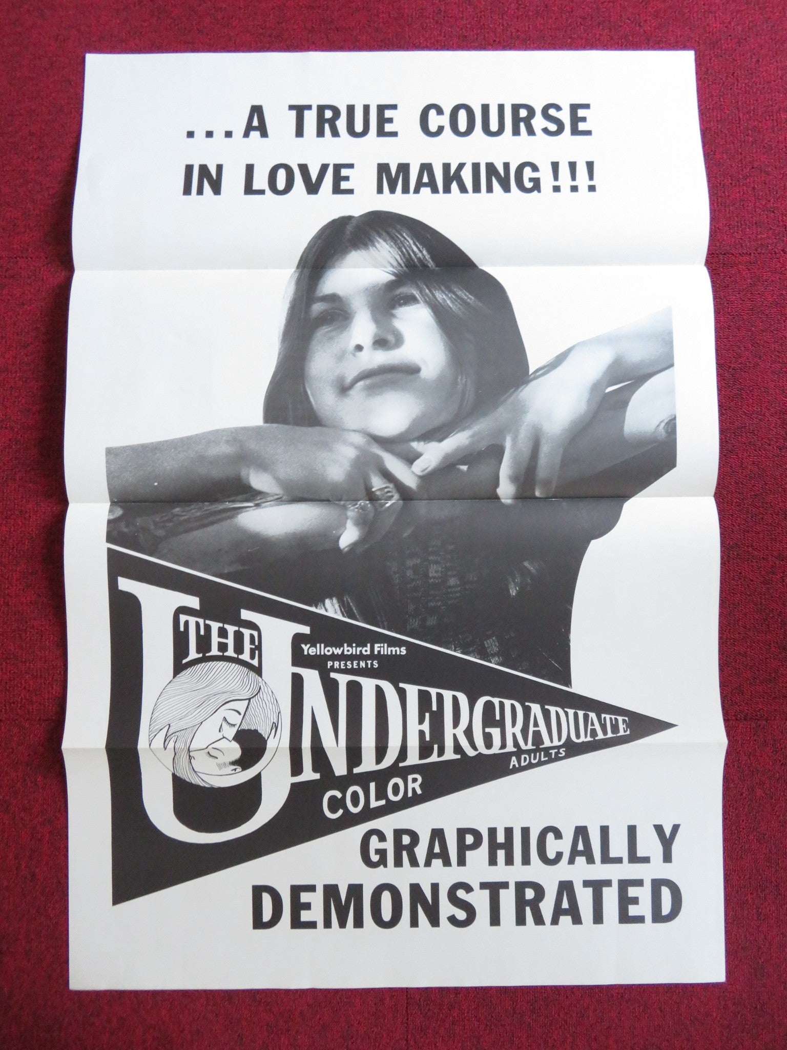 THE UNDERGRADUATE US TRI FOLDED ONE SHEET ROLLED POSTER JOHN DULLAGHAN 1971 Rendezvous Cinema Movie posters