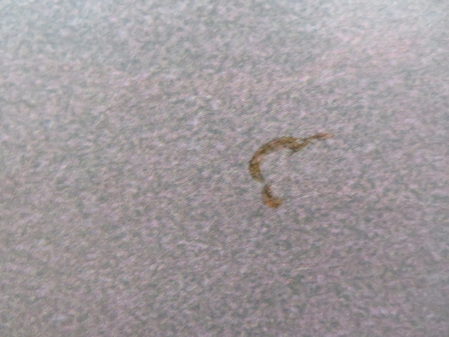 THE VERDICT UK QUAD POSTER FOLDED PAUL NEWMAN JACK WARDEN 1982 Rendezvous Cinema Movie posters