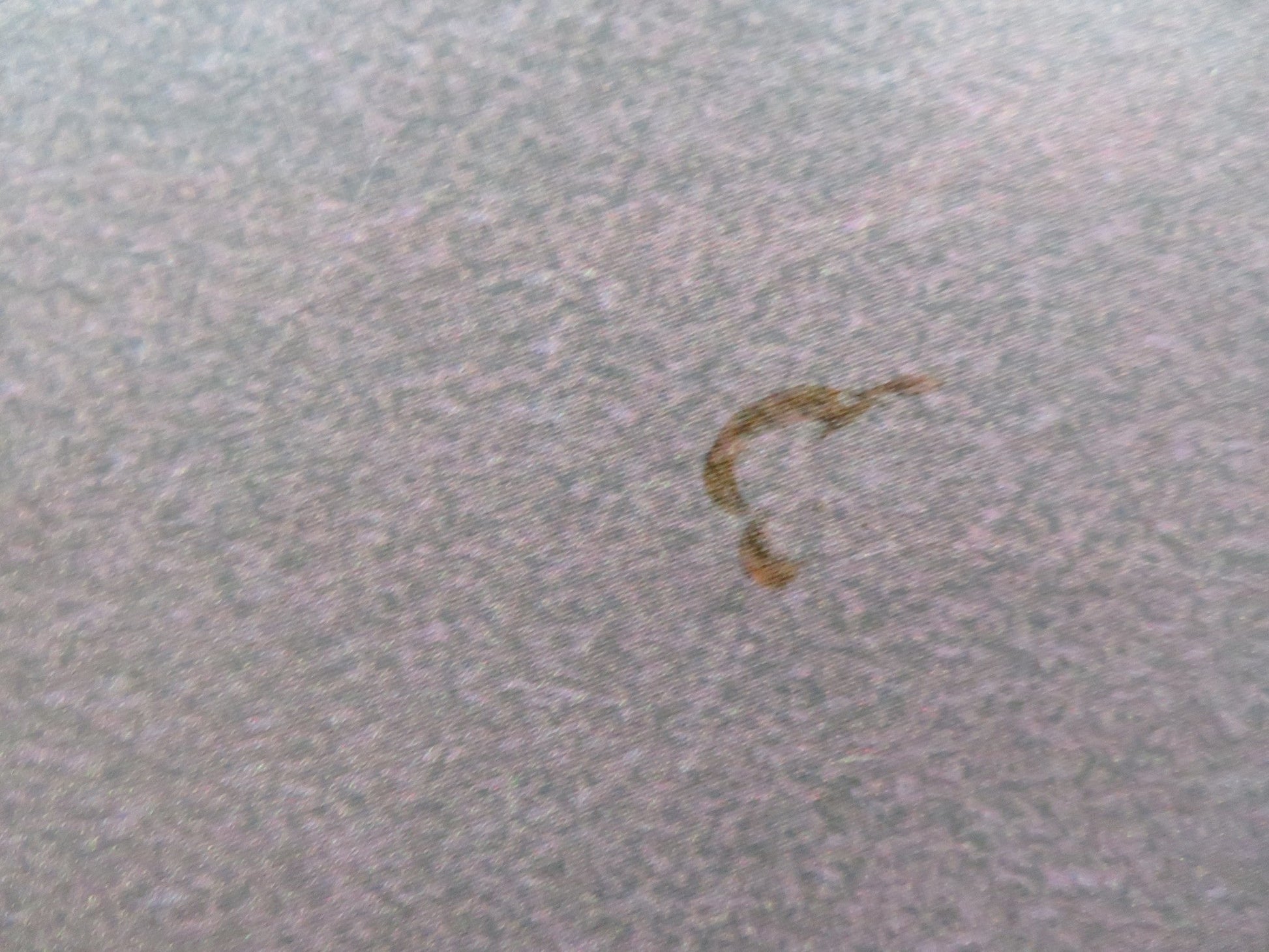 THE VERDICT UK QUAD POSTER FOLDED PAUL NEWMAN JACK WARDEN 1982 Rendezvous Cinema Movie posters