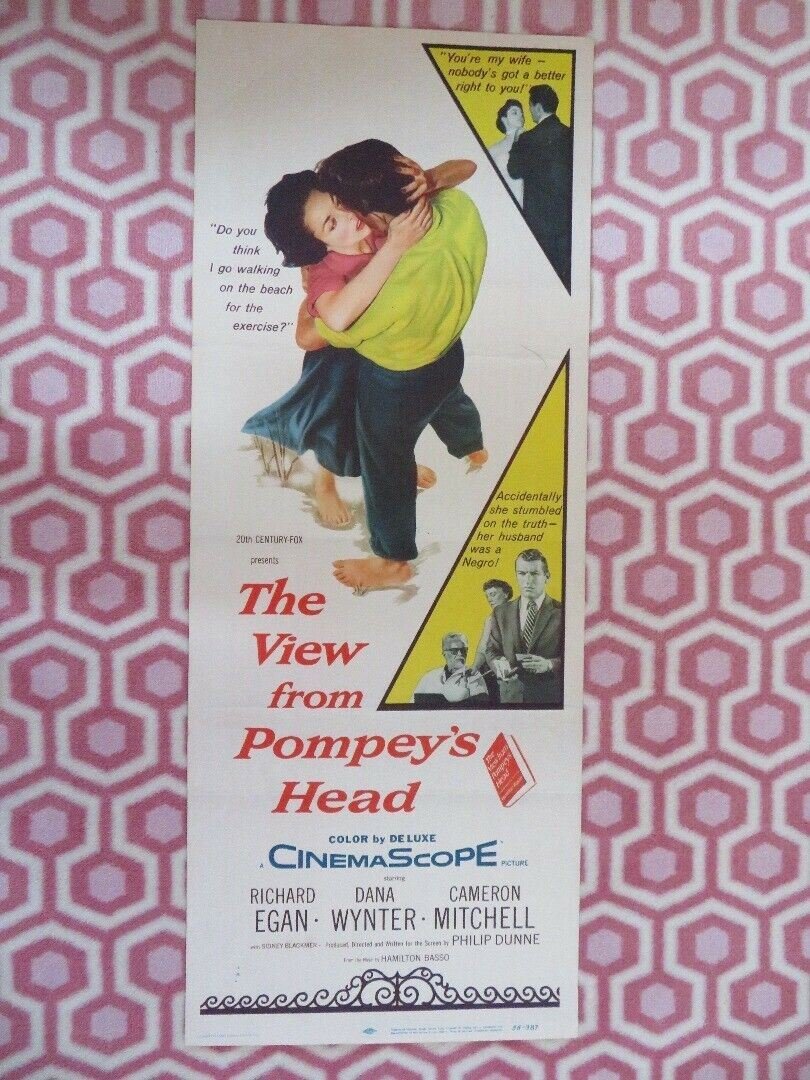 THE VIEW FROM POMPEY'S HEAD US INSERT (14"x 36") POSTER RICHARD EGAN 1955 Rendezvous Cinema Movie posters