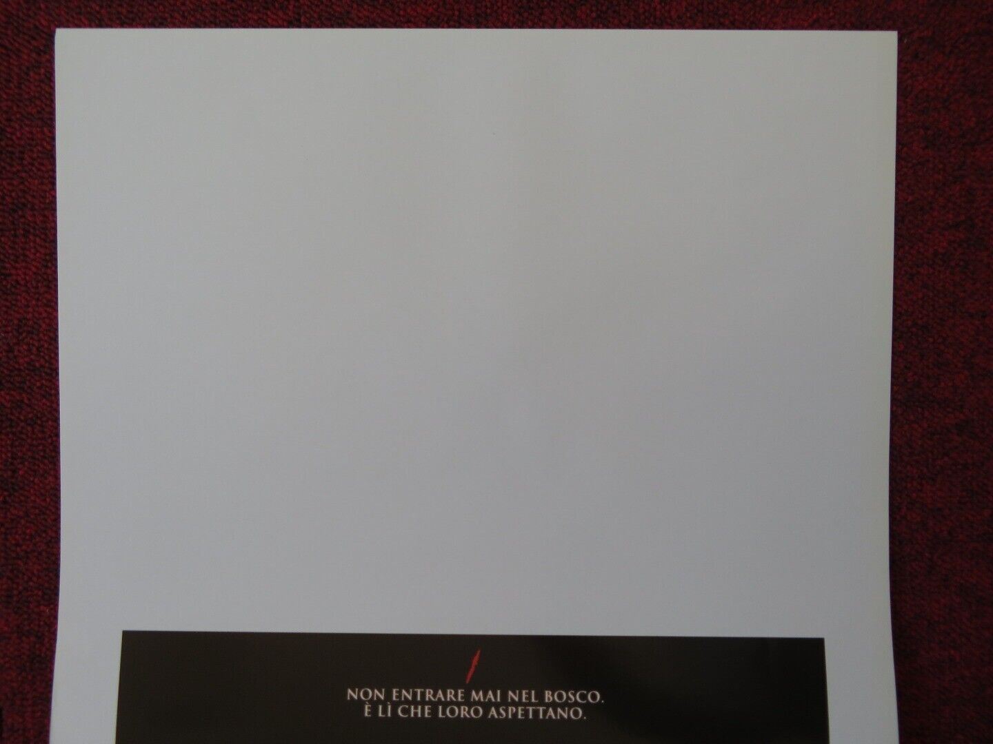 THE VILLAGE ITALIAN LOCANDINA (27.5"x13") POSTER S WEAVER W HURT 2004 Movie posters