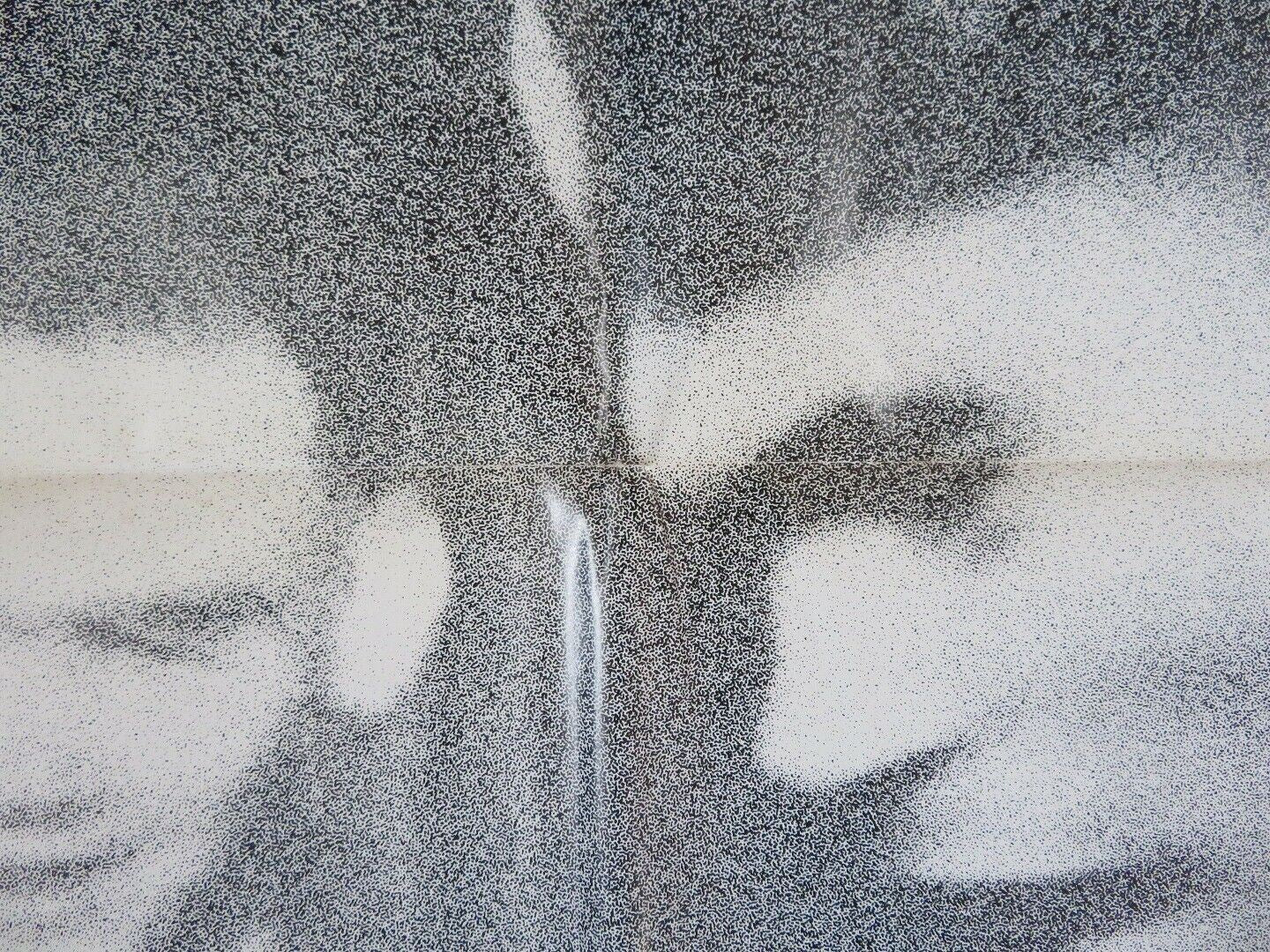 THE VISITORS US ONE SHEET POSTER ELIA KAZAN 1972 Movie posters