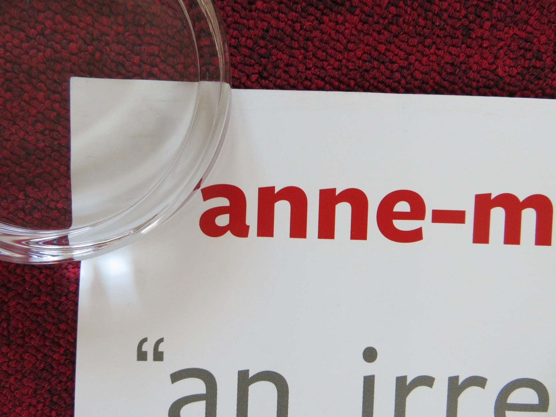 THE WAITING ROOM UK QUAD (30"x 40") ROLLED POSTER ANNE - MARIE DUFF 2007 Rendezvous Cinema Movie posters