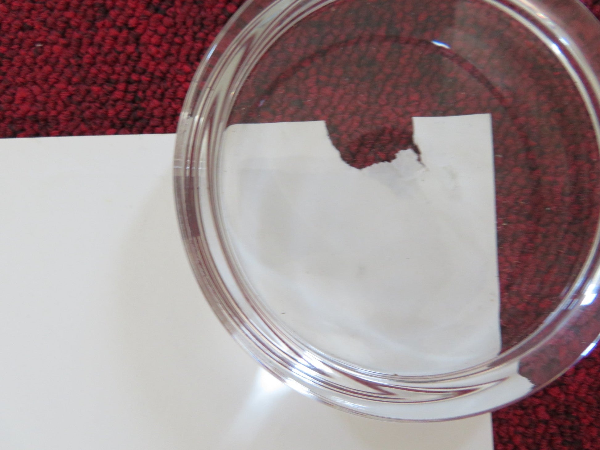 THE WAITING ROOM UK QUAD (30"x 40") ROLLED POSTER ANNE - MARIE DUFF 2007 Rendezvous Cinema Movie posters