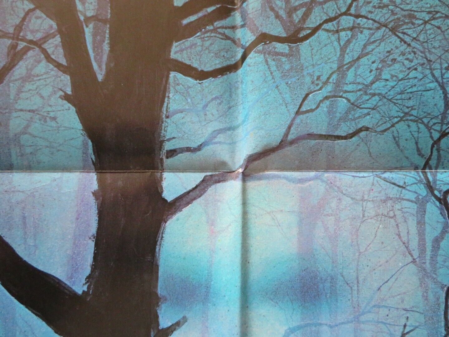 THE WATCHER IN THE WOODS FOLDED US ONE SHEET POSTER DISNEY BETTE DAVIS 1981 Movie posters