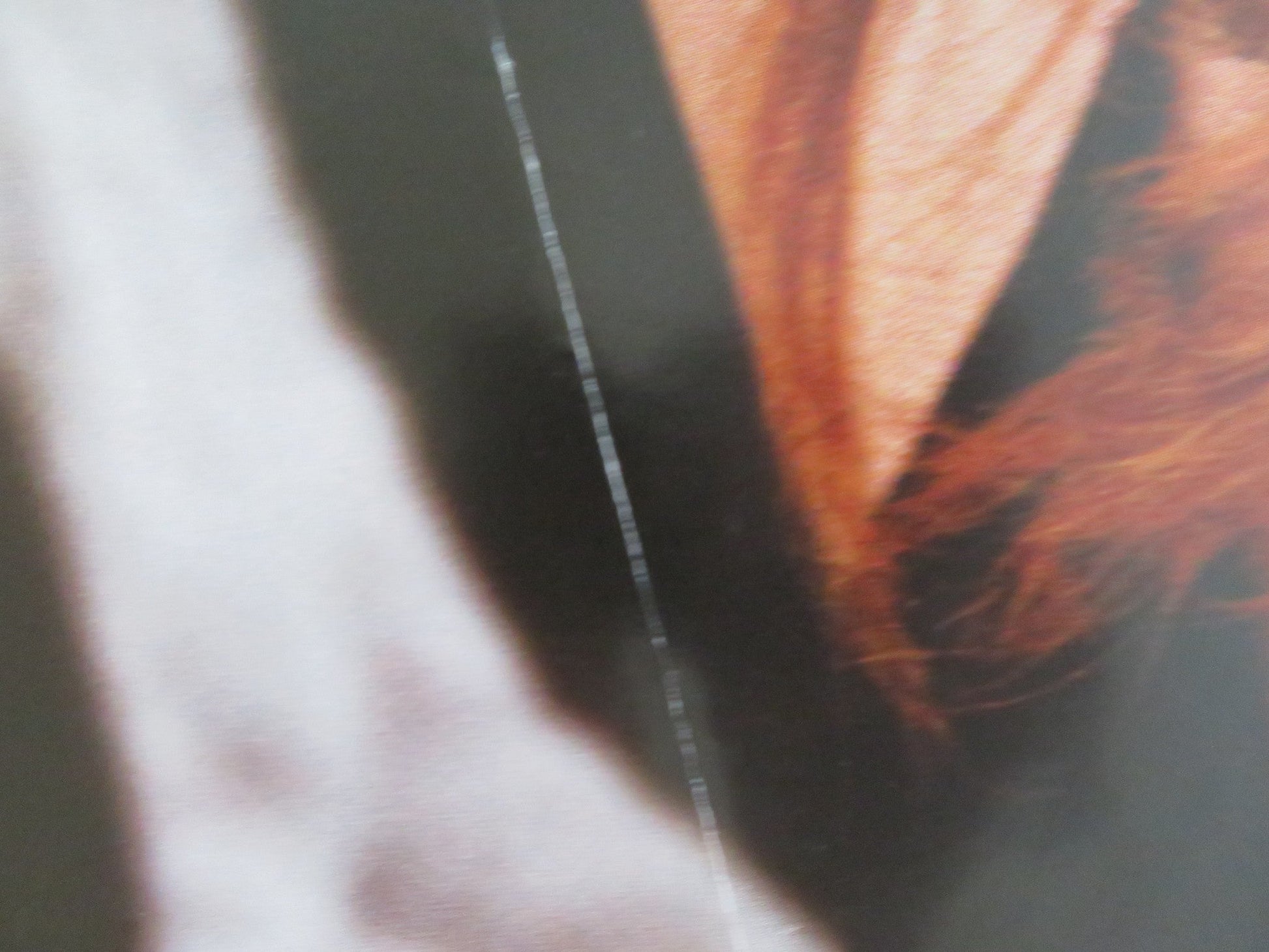 THE WEDDING DATE QUAD (30"x 40") ROLLED POSTER DERMOT MULRONEY DEBRA MESSING '05 Rendezvous Cinema Movie posters